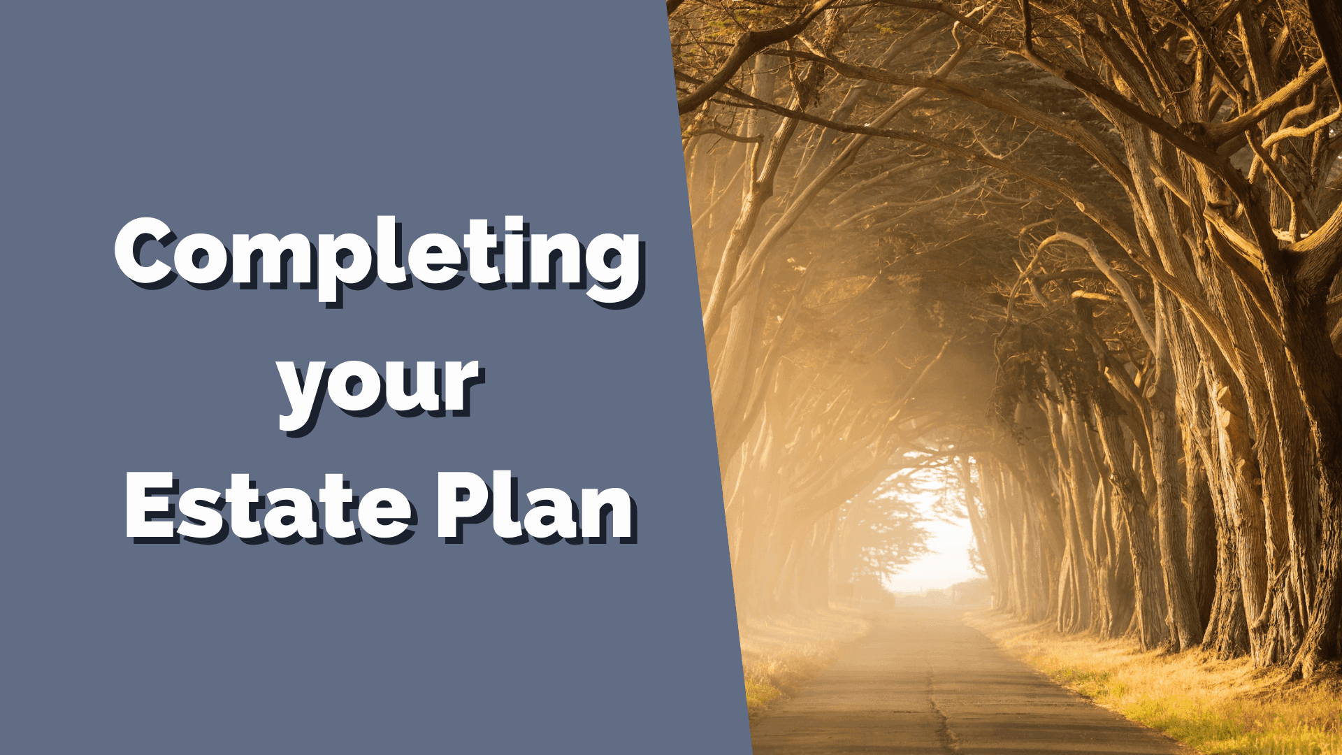 What are the next steps to complete my estate plan?